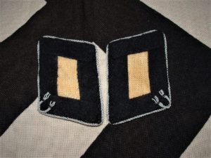 Mint Pair of SS Officer’s Collar Tabs - C251 - 4